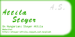 attila steyer business card